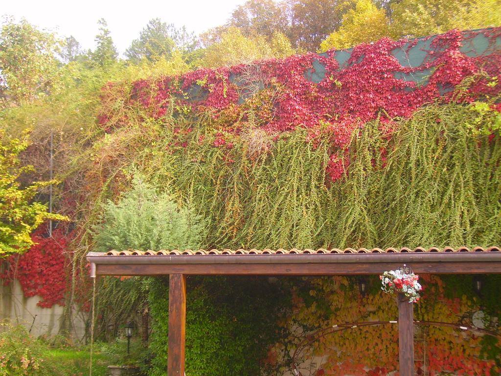 B&B Margherita Le Fiabe Sant'Agata Feltria Exterior photo