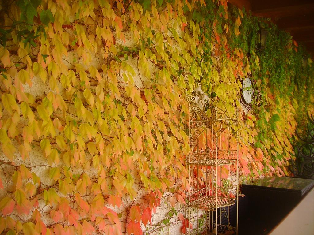 B&B Margherita Le Fiabe Sant'Agata Feltria Exterior photo