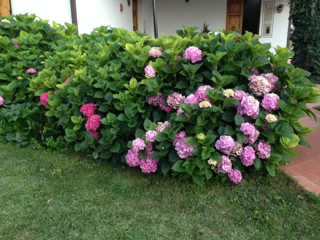 B&B Margherita Le Fiabe Sant'Agata Feltria Exterior photo